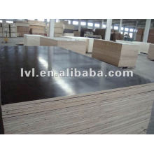 Film faced plywood size1250*2550mm